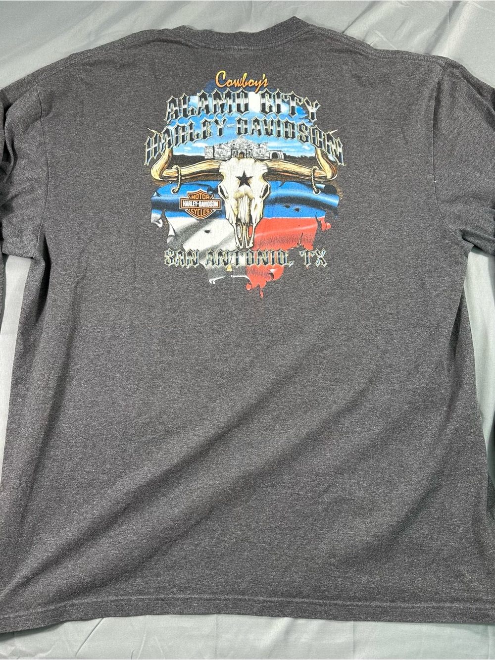 Harley-Davidson Gray Long-Sleeve Shirt with Multicolor Back Graphic